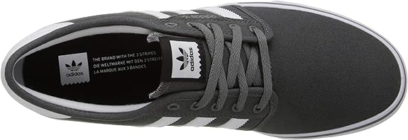 Adidas Seeley Mens Casual Shoes